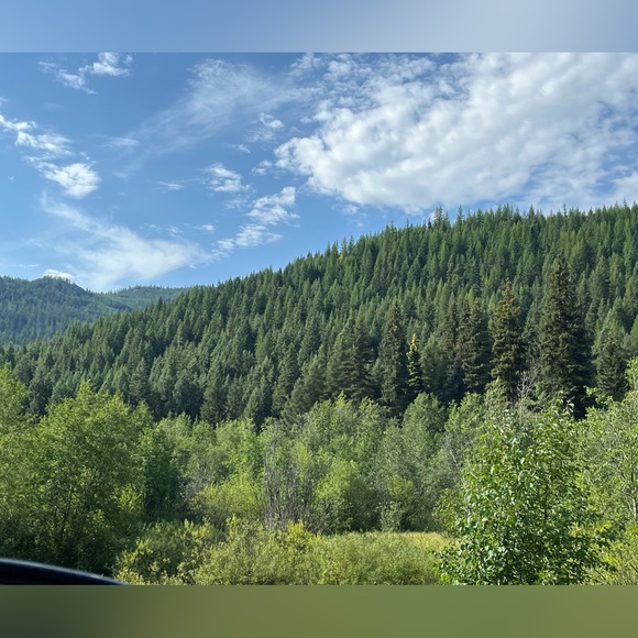 ✨LIKE 2 BE NOTIFIED✨ LIVE SHOW FLYER 🎉 HELLFIRE HOMESTEAD IS BACK! - Picture 4 of 16